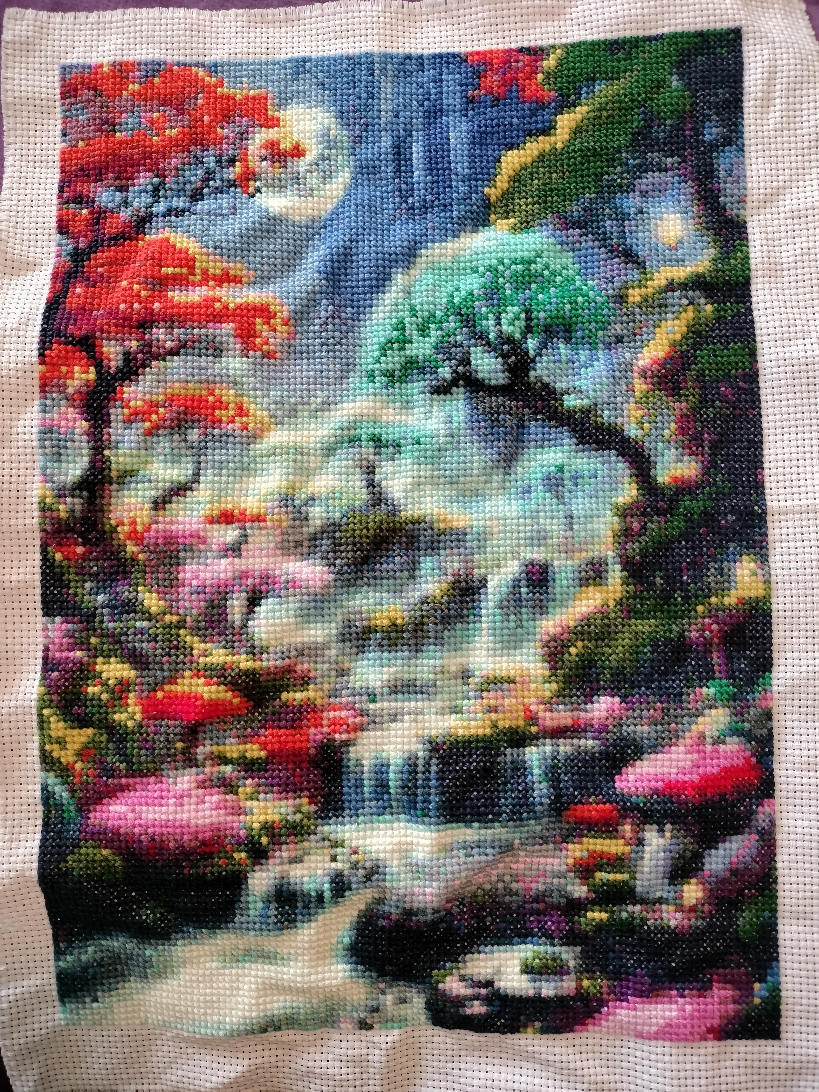 Forest at Night